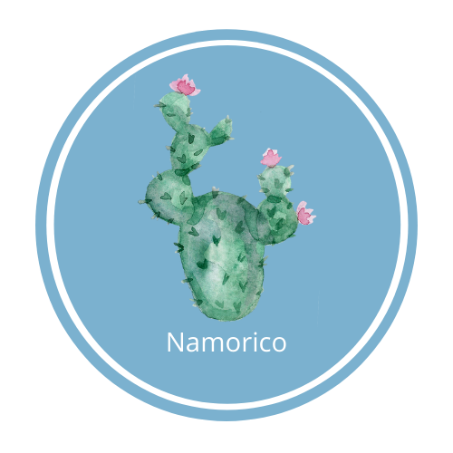 Logo - Namorico